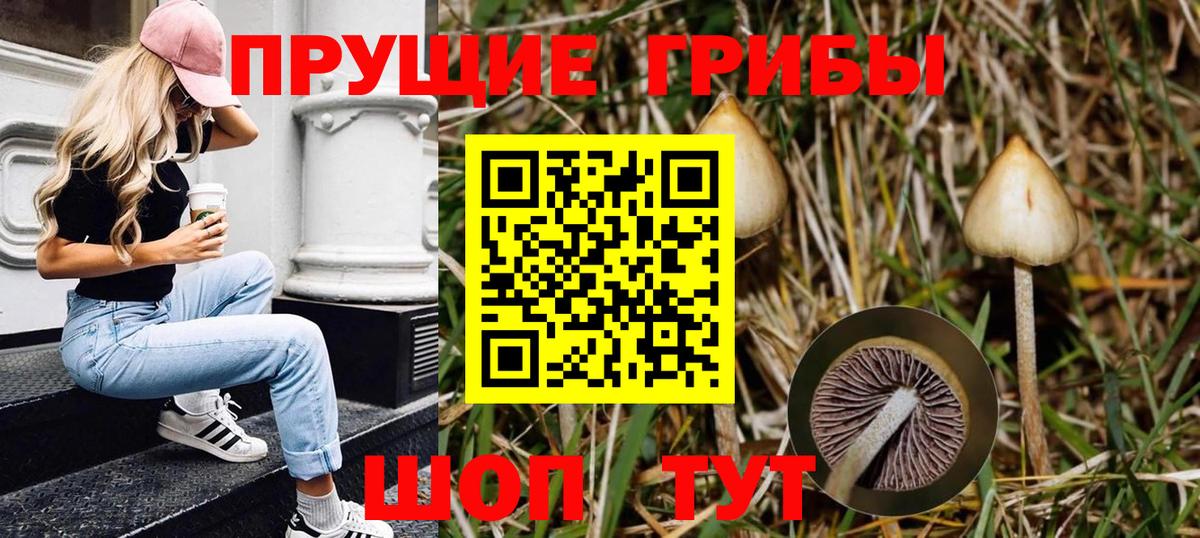 Псилоцибиновые грибы Psilocybe  Псилоцибиновые грибы мухоморы  дарнет шоп  Вход с VPN  Еманжелинск 