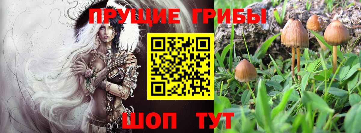 Псилоцибиновые грибы мухоморы Еманжелинск